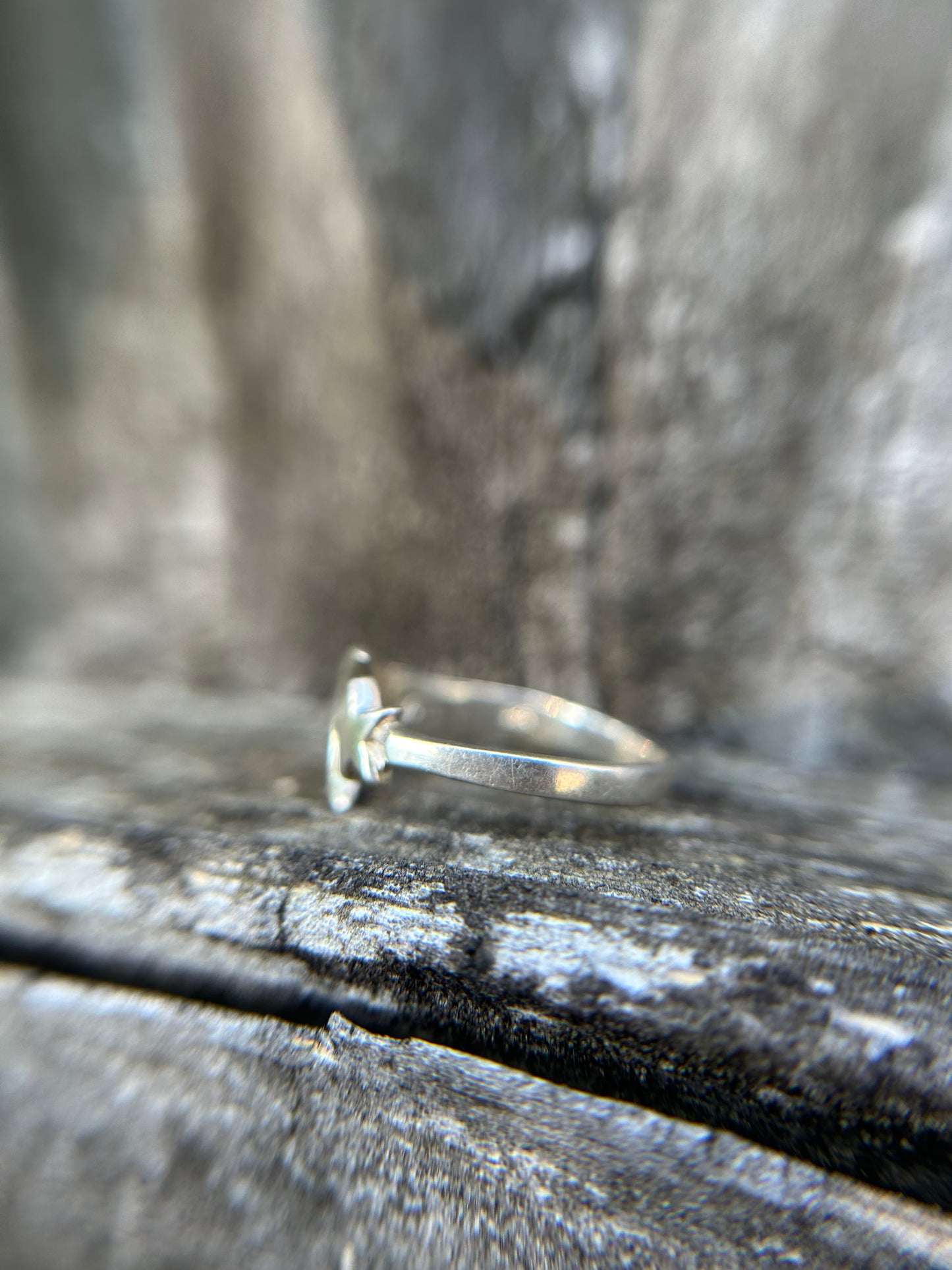 Celestial Compass Ring