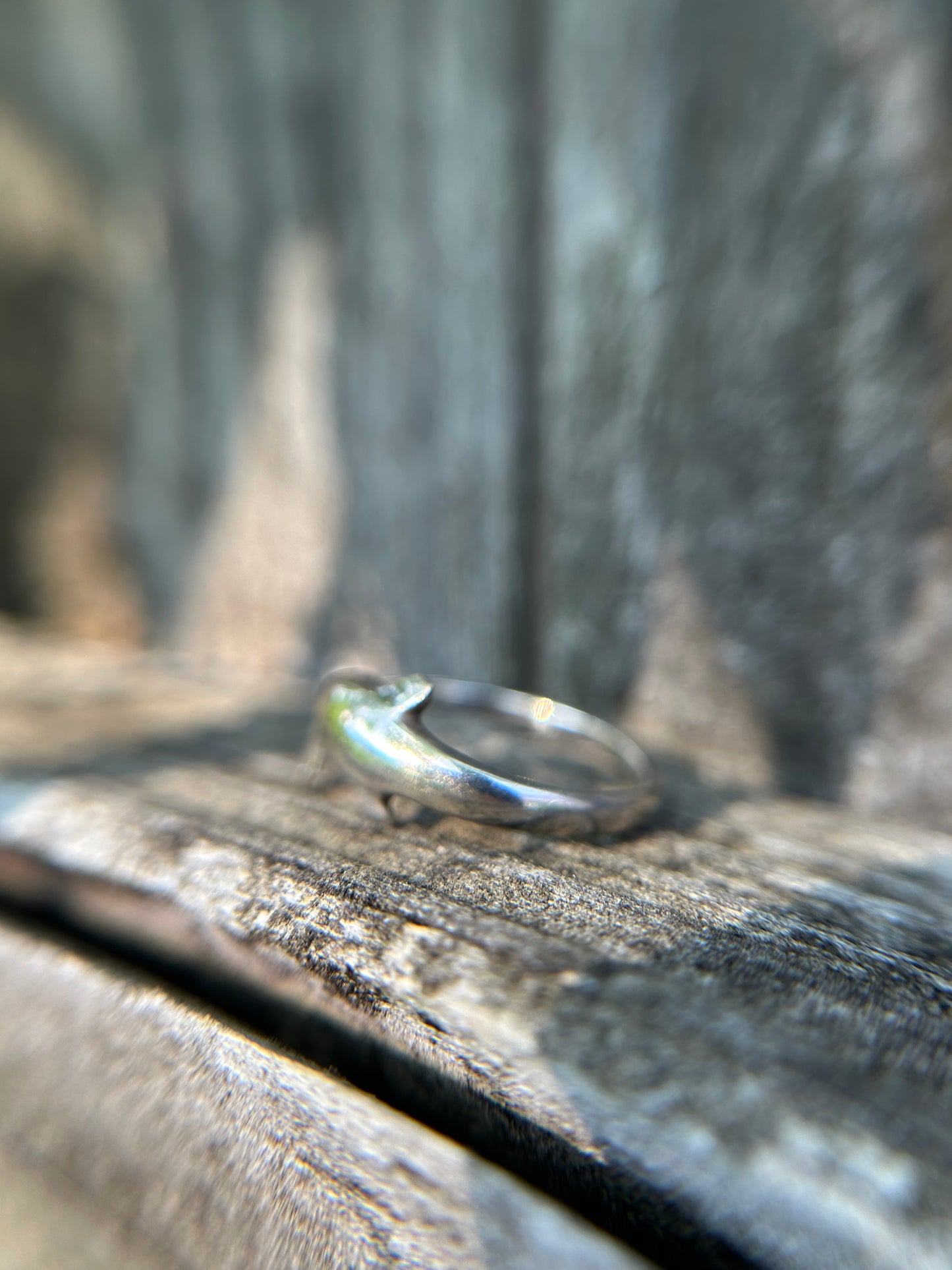 Dolphin Ring