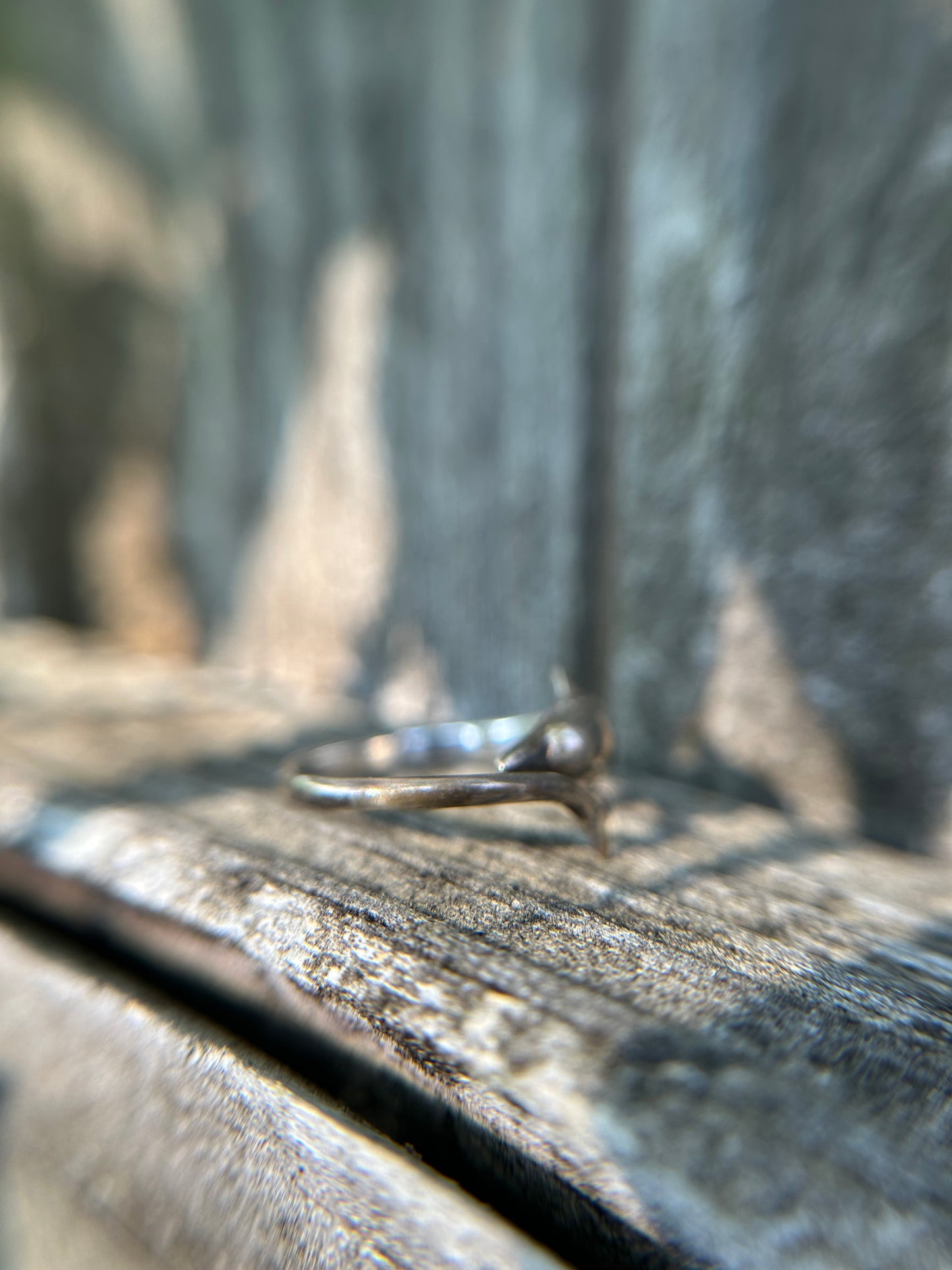 Dolphin Ring