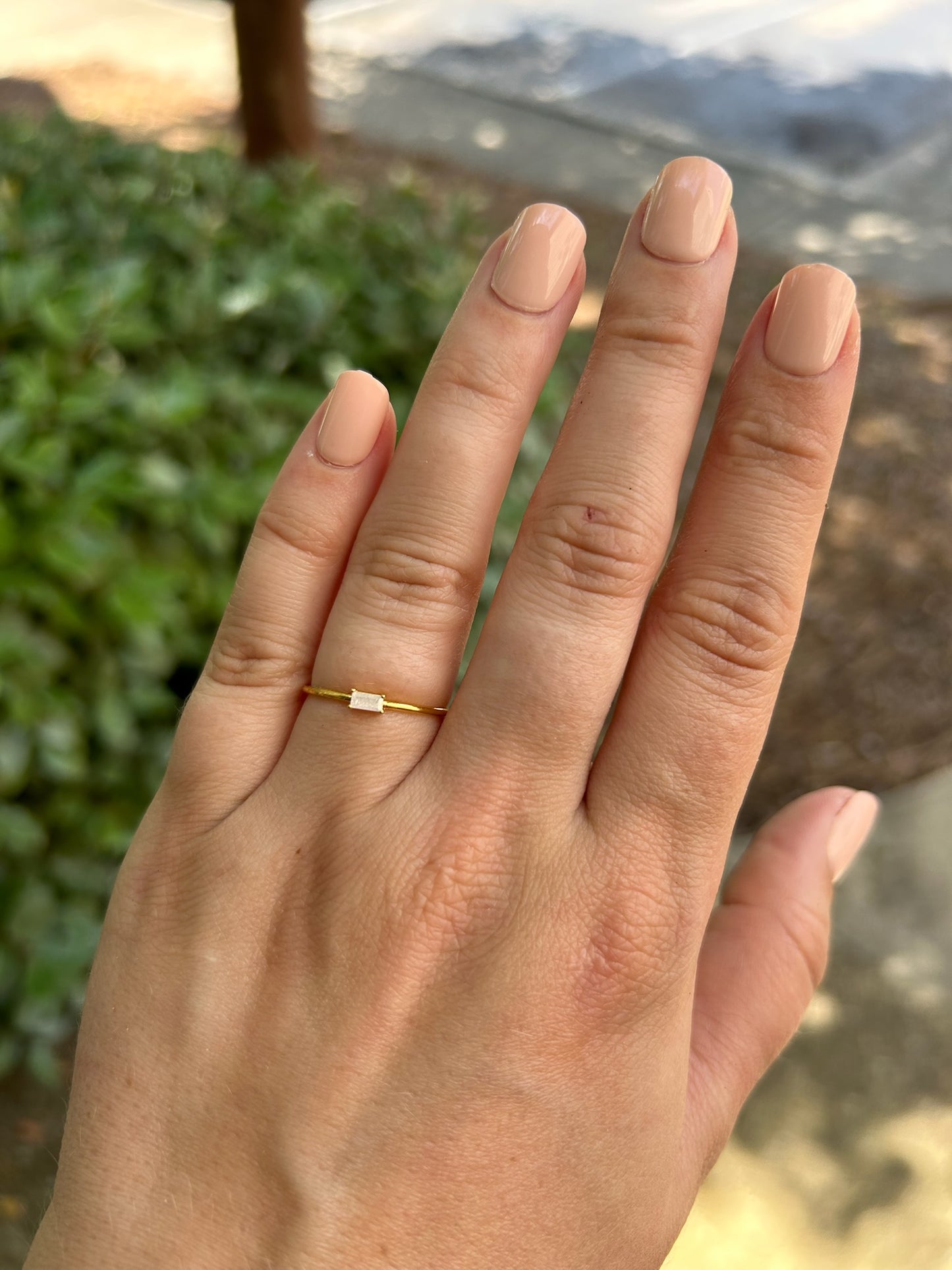 A close-up image of a delicate Lucrezia Ring from Canyon Jewelry with a square-cut diamond, resting on a mossy surface. The background is softly blurred, emphasizing the ring's details.