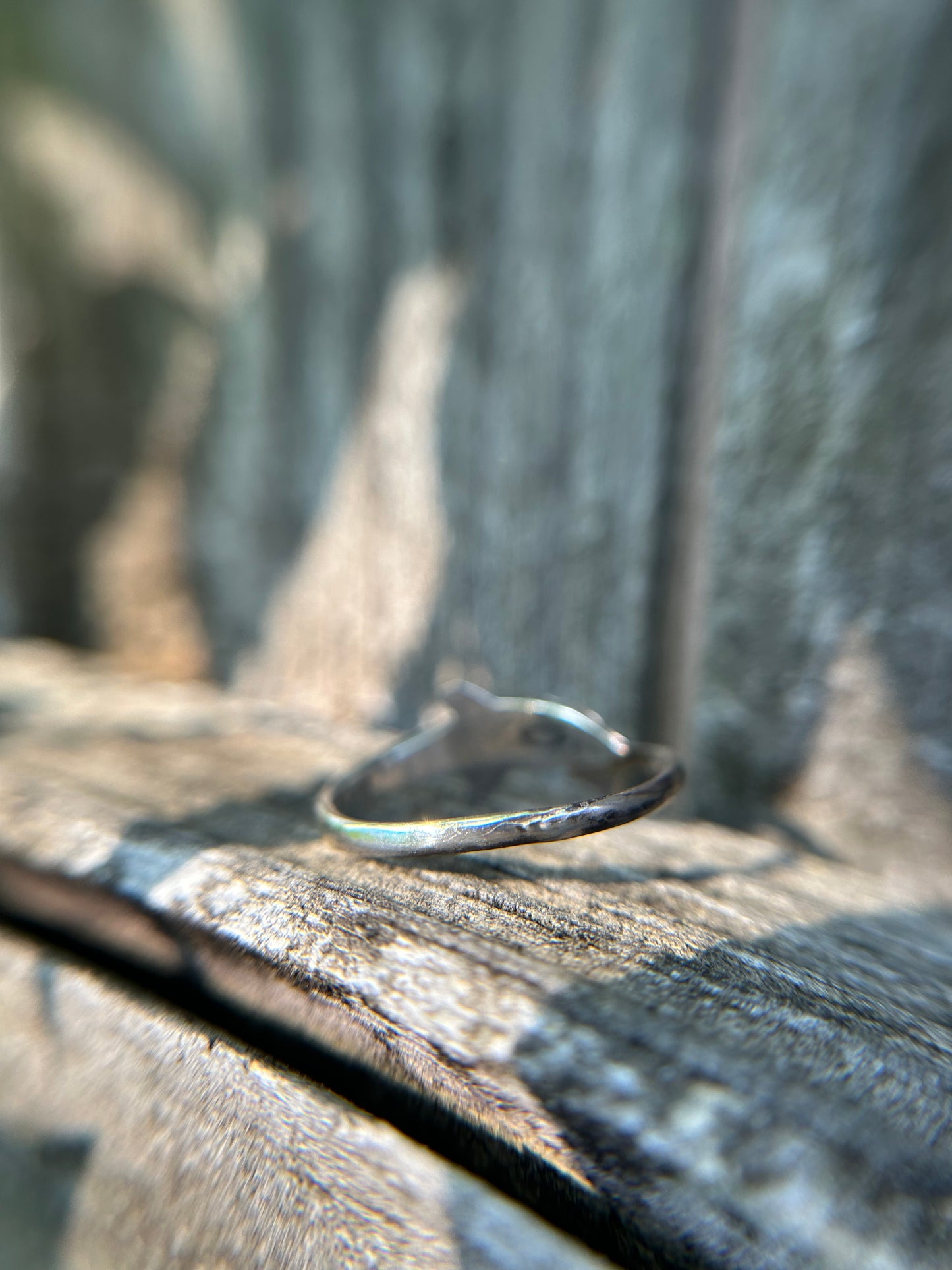 Dolphin Ring