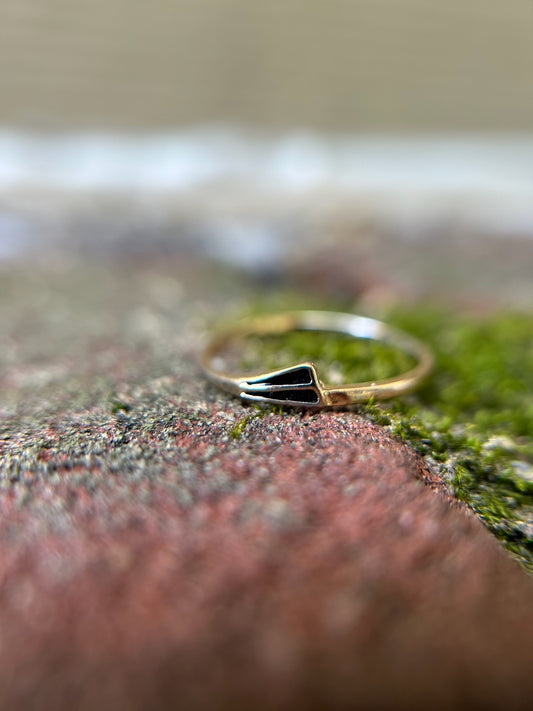 A close-up of a Canyon Jewelry Flagship Ring with a heart-shaped black gem, crafted from sterling silver, resting on a textured, mossy rock surface with a blurred background.