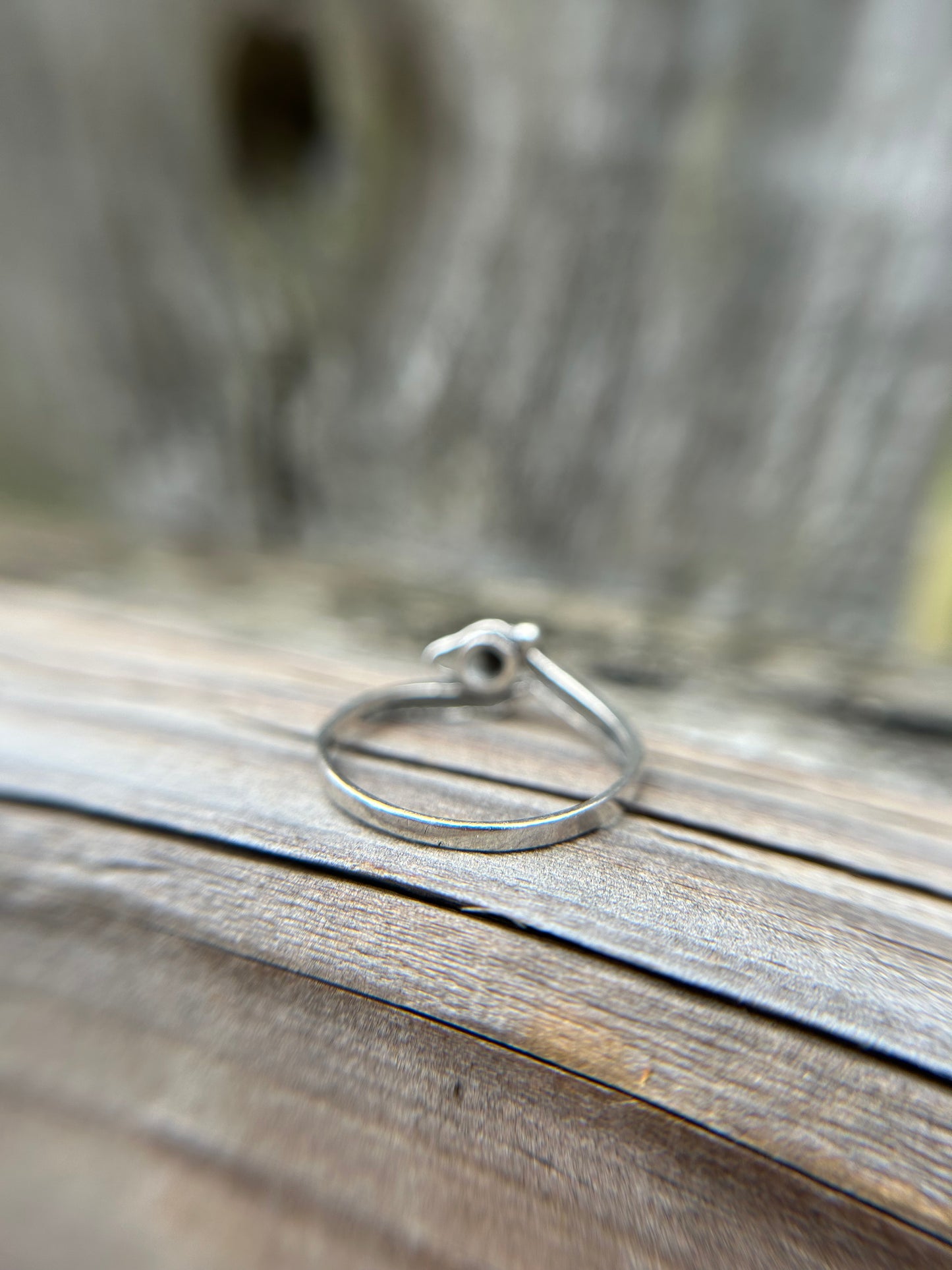 Raven Ring