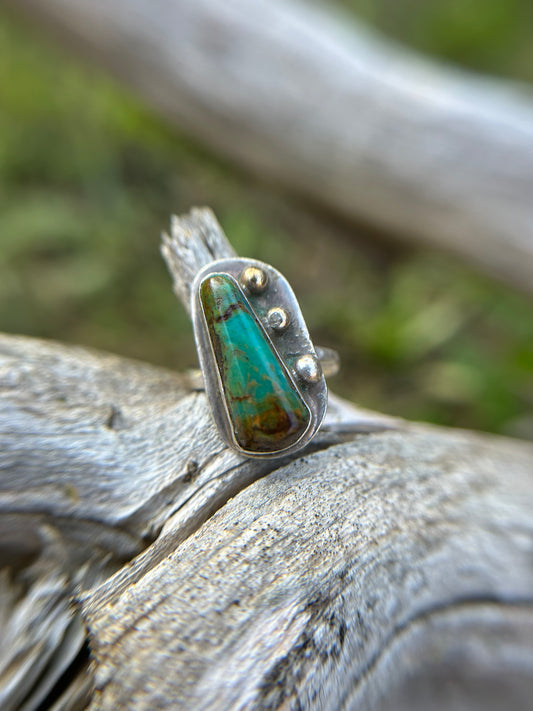 Reconstruction Ring