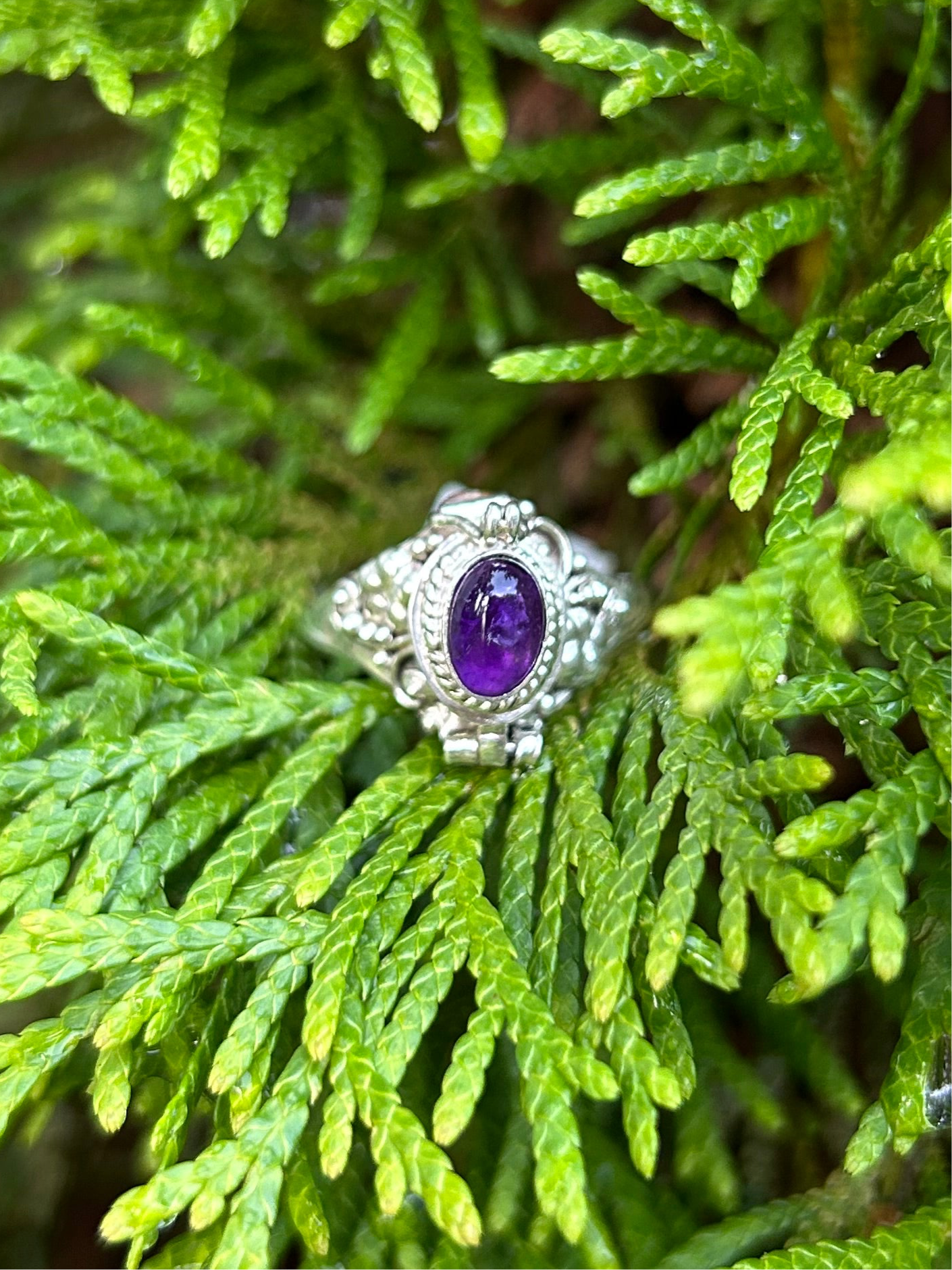 Purple Poison Ring