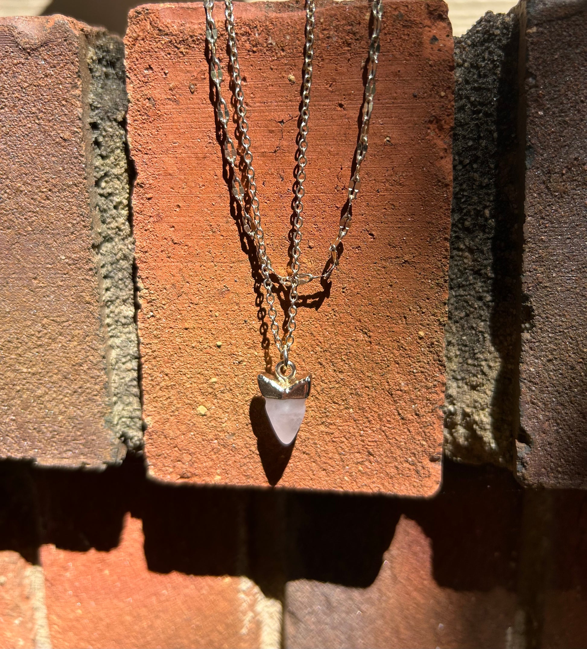 Close-up of a Great White Necklace featuring a white shark tooth encased in gold, suspended on a sterling silver chain, resting on a mossy surface by Canyon Jewelry.