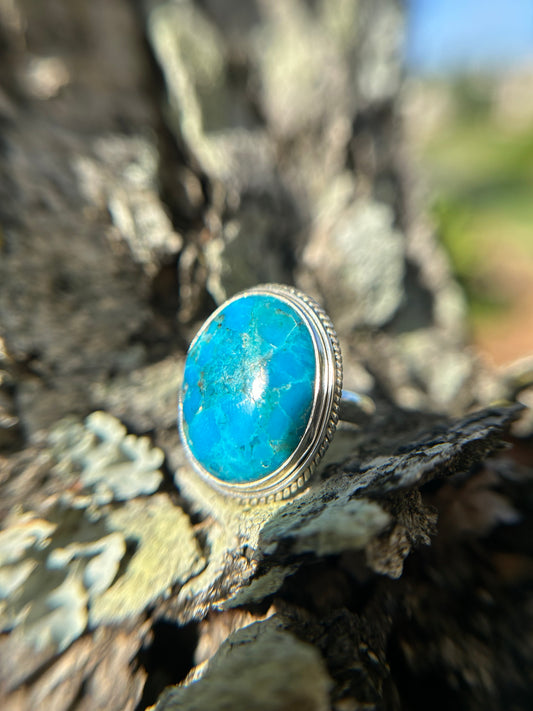 Turquoise Treasure Ring