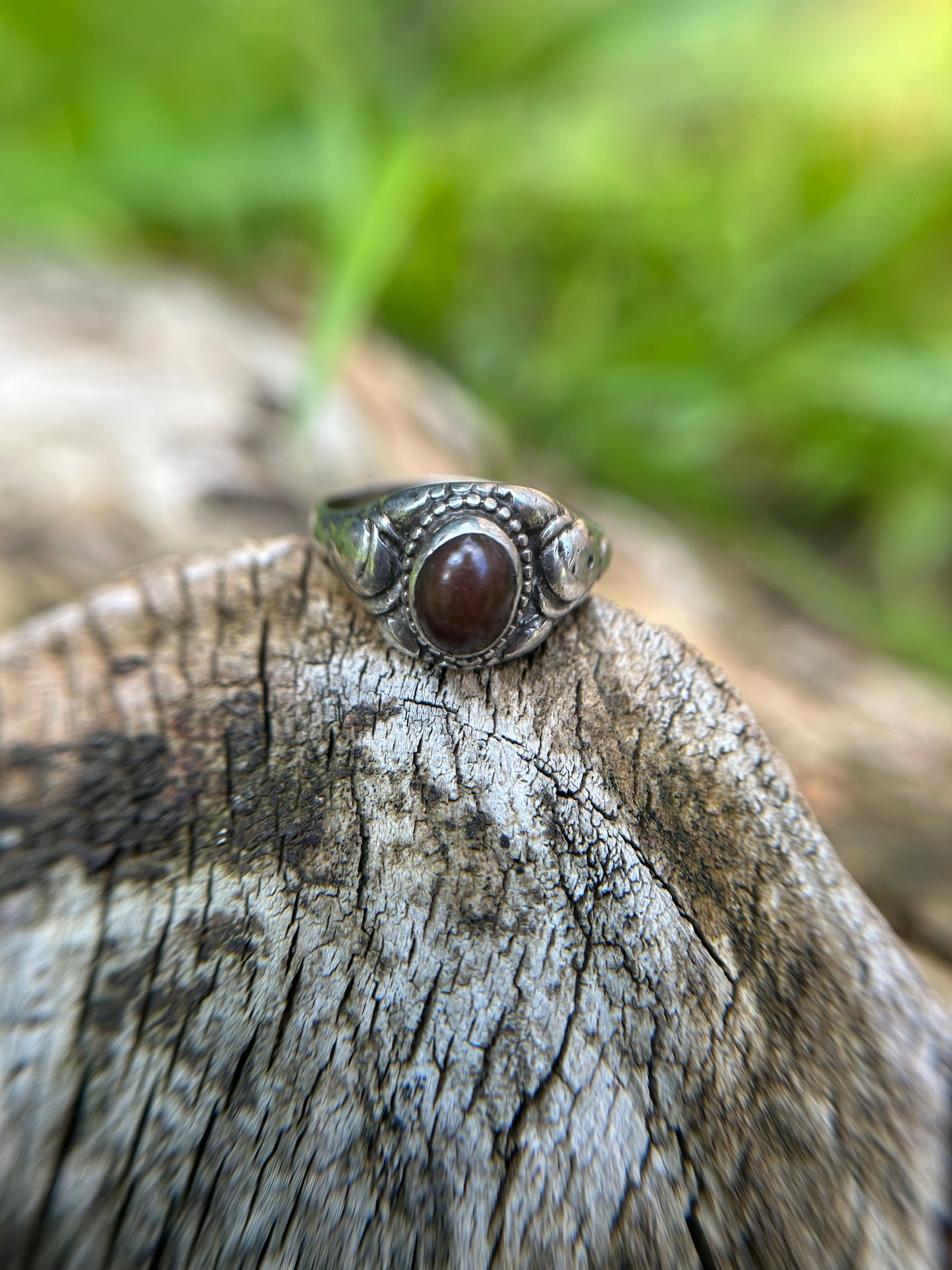 Cocoa Ring