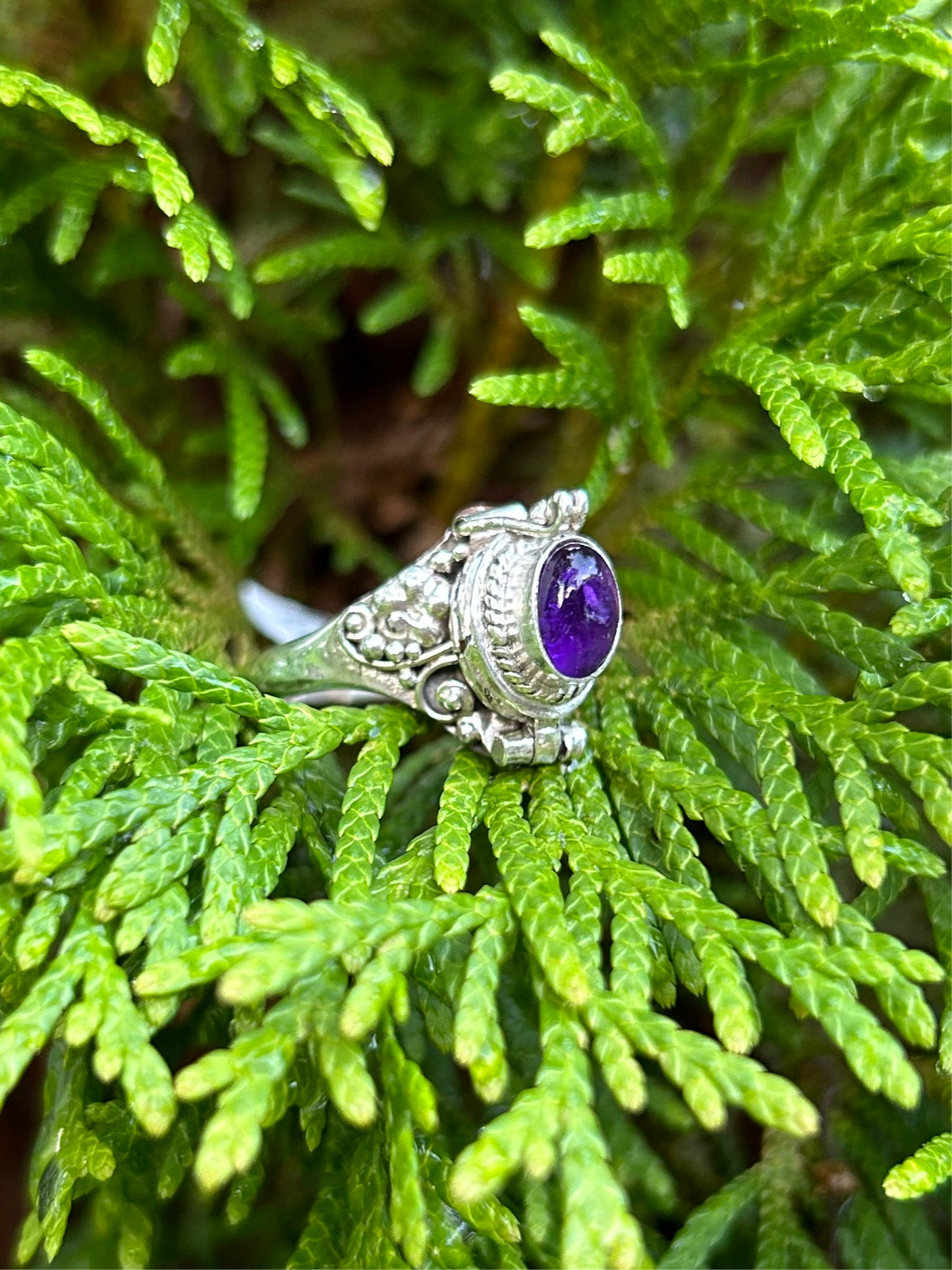 Purple Poison Ring