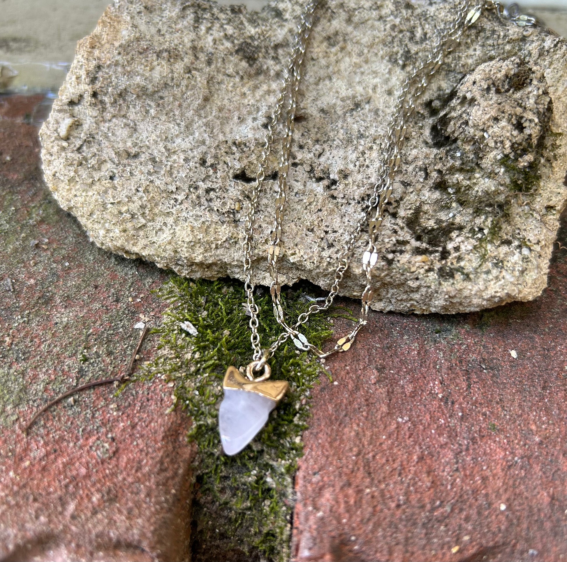 Close-up of a Great White Necklace featuring a white shark tooth encased in gold, suspended on a sterling silver chain, resting on a mossy surface by Canyon Jewelry.