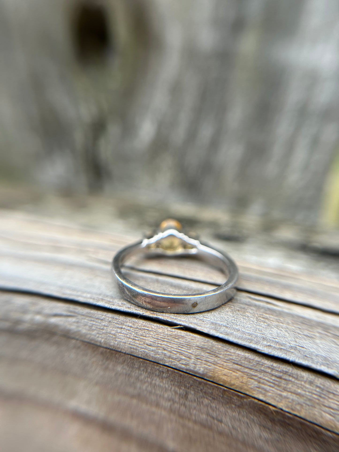 Solstice Ring